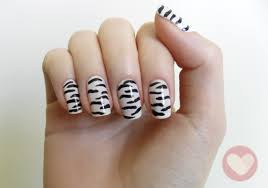 zebra2